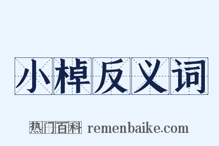 小棹反义词是什么意思的图片